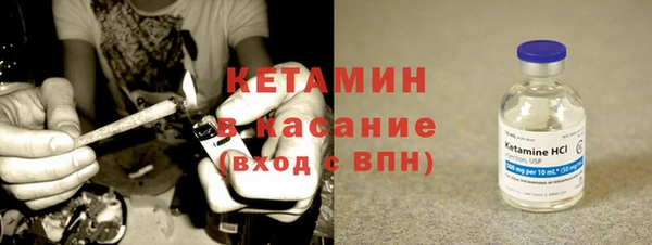 сатива Аркадак