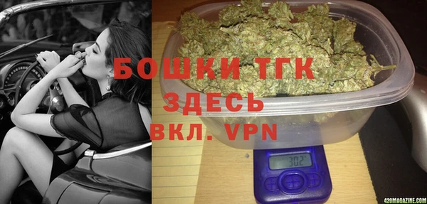 дживик Арсеньев