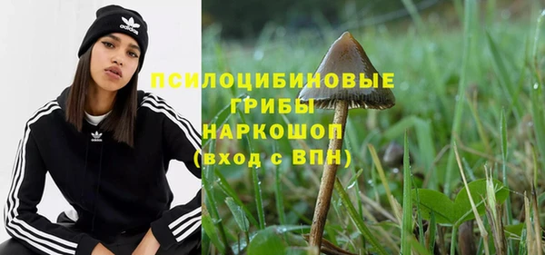 метадон Армянск