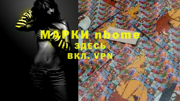 сатива Аркадак