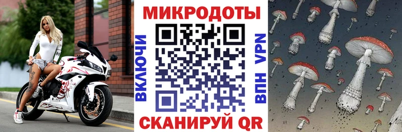 Псилоцибиновые грибы Magic Shrooms  Могоча 