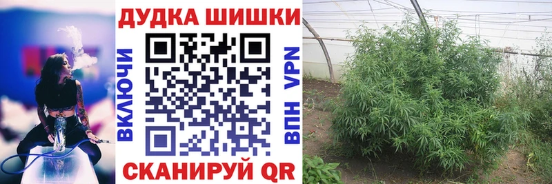 наркотики  Могоча  Бошки марихуана планчик 